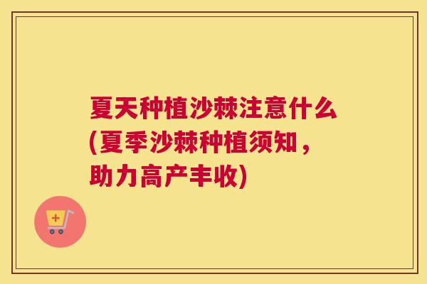 夏天种植沙棘注意什么(夏季沙棘种植须知,助力高产丰收)