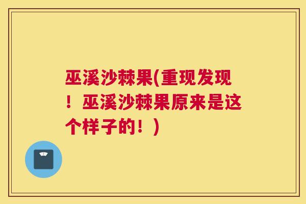 巫溪沙棘果(重现发现！巫溪沙棘果原来是这个样子的！)