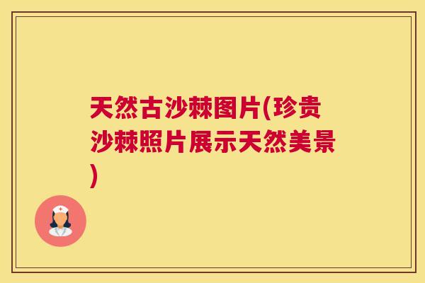 天然古沙棘图片(珍贵沙棘照片展示天然美景) 天然古沙棘图片(珍贵沙棘照片展示天然美景)