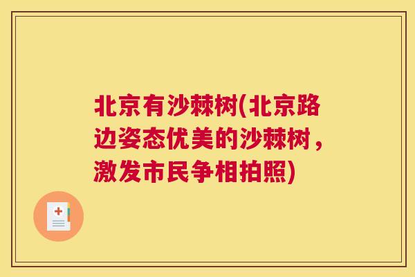 北京有沙棘树(北京路边姿态优美的沙棘树，激发市民争相拍照)