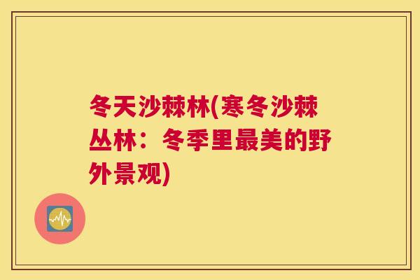 冬天沙棘林(寒冬沙棘丛林：冬季里最美的野外景观)