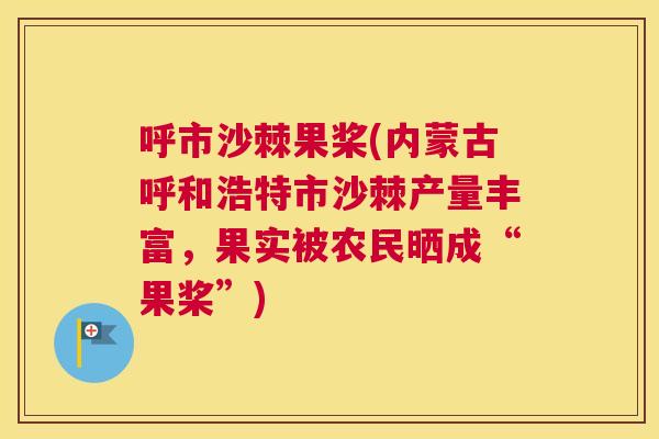 呼市沙棘果桨(内蒙古呼和浩特市沙棘产量丰富,果实被农民晒成“果桨”)