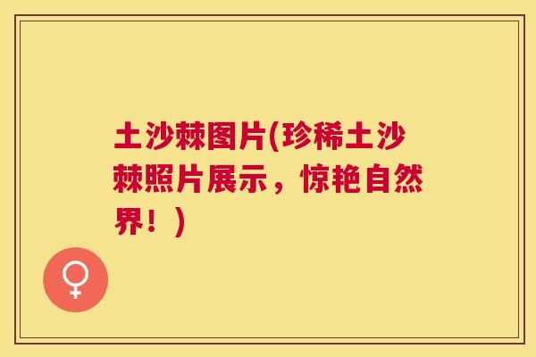 土沙棘图片(珍稀土沙棘照片展示,惊艳自然界!)