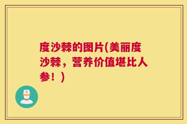 度沙棘的图片(美丽度沙棘，营养价值堪比人参！)