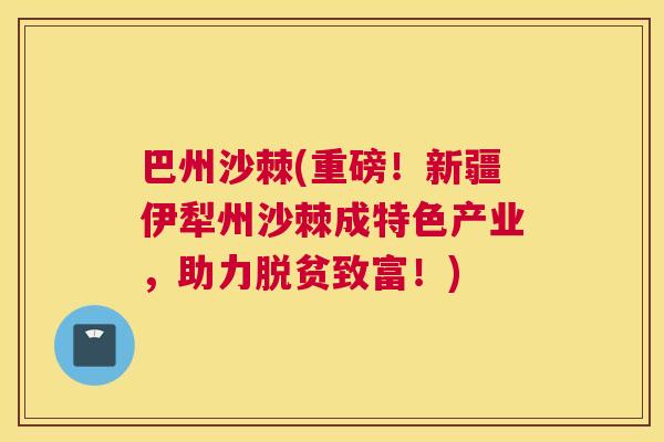 巴州沙棘(重磅！新疆伊犁州沙棘成特色产业，助力脱贫致富！)
