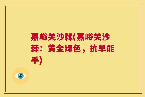 嘉峪关沙棘(嘉峪关沙棘:黄金绿色,抗旱能手)