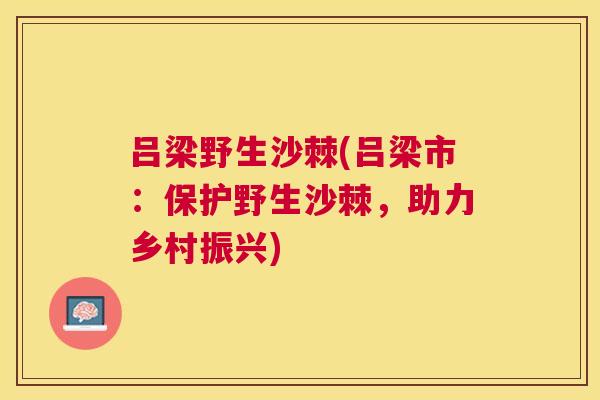吕梁野生沙棘(吕梁市:保护野生沙棘,助力乡村振兴)