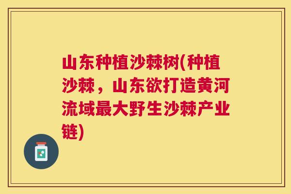 山东种植沙棘树(种植沙棘,山东欲打造黄河流域最大野生沙棘产业链)