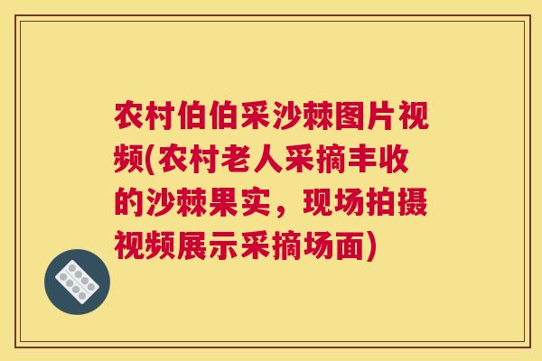 农村伯伯采沙棘图片视频(农村老人采摘丰收的沙棘果实,现场拍摄视频展示采摘场面)