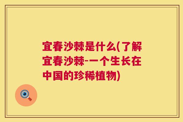 宜春沙棘是什么(了解宜春沙棘-一个生长在中国的珍稀植物)