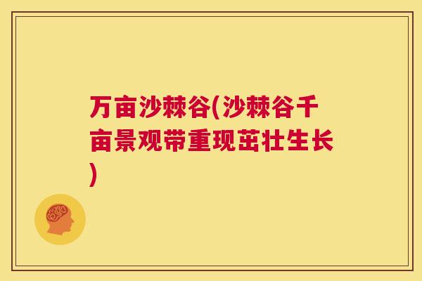 万亩沙棘谷(沙棘谷千亩景观带重现茁壮生长) 万亩沙棘谷(沙棘谷千亩景观带重现茁壮生长)