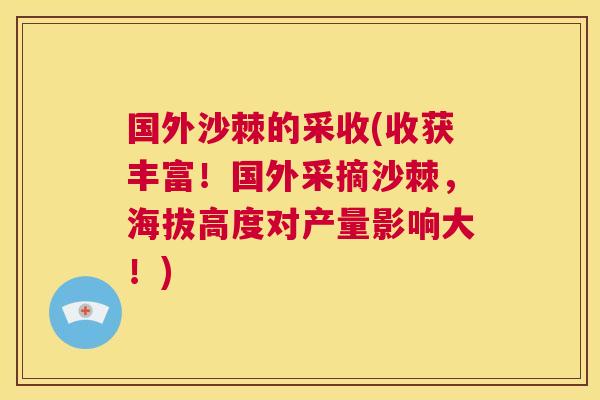 国外沙棘的采收(收获丰富!国外采摘沙棘,海拔高度对产量影响大!) 国外沙棘的采收(收获丰富!国外采摘沙棘,海拔高度对产量影响大!)