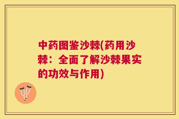 中药图鉴沙棘(药用沙棘：全面了解沙棘果实的功效与作用)