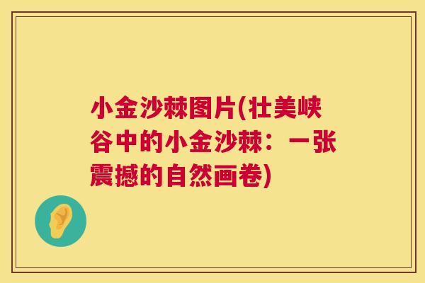 小金沙棘图片(壮美峡谷中的小金沙棘：一张震撼的自然画卷)