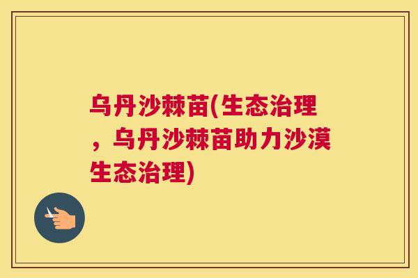 乌丹沙棘苗(生态治理,乌丹沙棘苗助力沙漠生态治理)