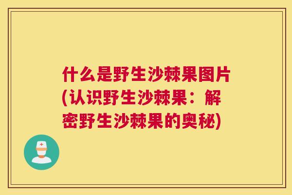 什么是野生沙棘果图片(认识野生沙棘果:解密野生沙棘果的奥秘)