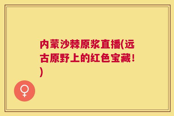 内蒙沙棘原浆直播(远古原野上的红色宝藏！)