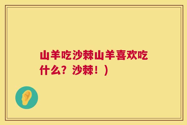 山羊吃沙棘山羊喜欢吃什么?沙棘!)