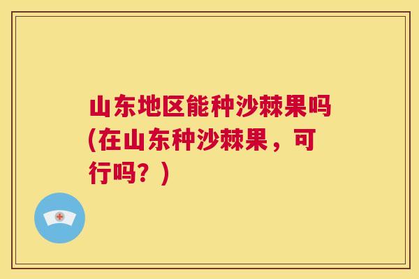 山东地区能种沙棘果吗(在山东种沙棘果，可行吗？)
