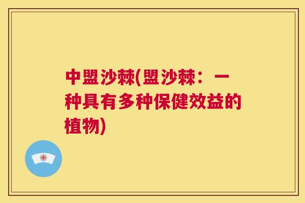 中盟沙棘(盟沙棘：一种具有多种保健效益的植物)