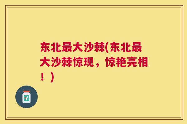 东北最大沙棘(东北最大沙棘惊现,惊艳亮相!)