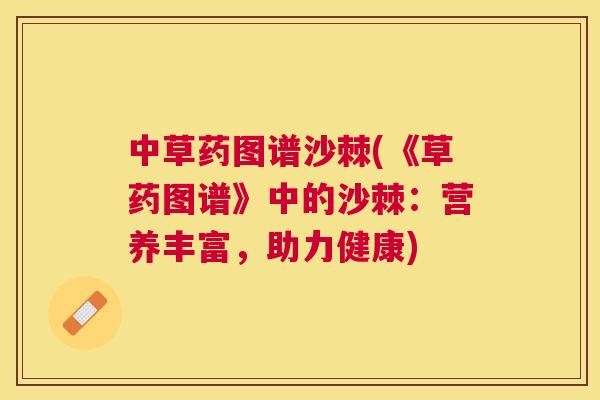 中草药图谱沙棘(《草药图谱》中的沙棘:营养丰富,助力健康)