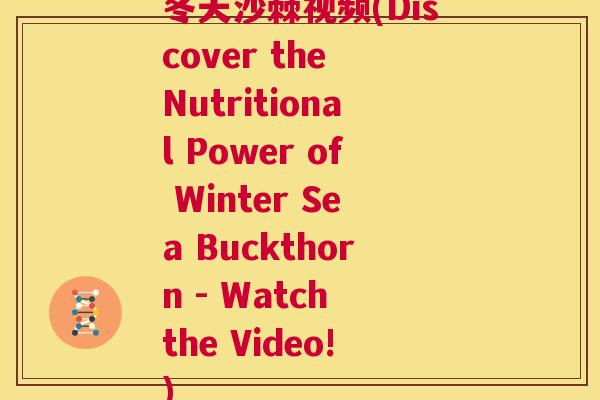 冬天沙棘视频(Discover the Nutritional Power of Winter Sea Buckthorn - Watch the Video!)