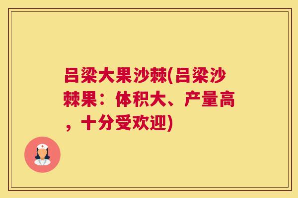 吕梁大果沙棘(吕梁沙棘果:体积大、产量高,十分受欢迎)