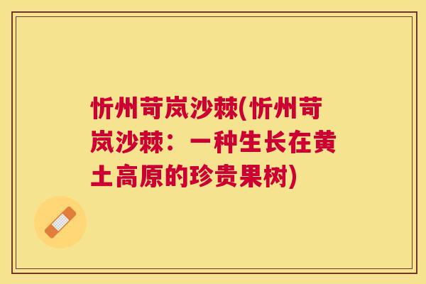 忻州苛岚沙棘(忻州苛岚沙棘:一种生长在黄土高原的珍贵果树)
