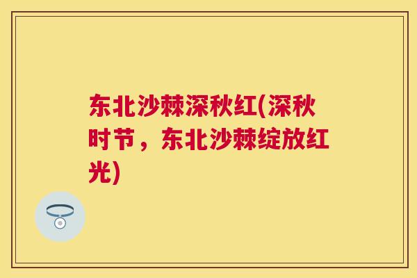 东北沙棘深秋红(深秋时节,东北沙棘绽放红光)
