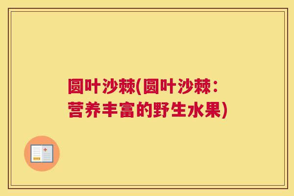 圆叶沙棘(圆叶沙棘:营养丰富的野生水果)