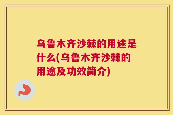 乌鲁木齐沙棘的用途是什么(乌鲁木齐沙棘的用途及功效简介)