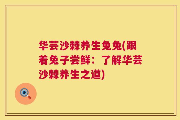 华芸沙棘养生兔兔(跟着兔子尝鲜:了解华芸沙棘养生之道)