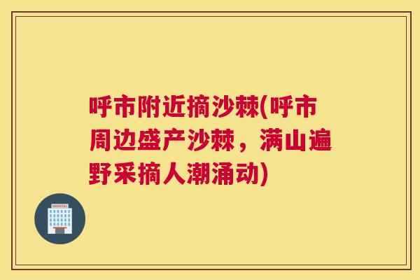 呼市附近摘沙棘(呼市周边盛产沙棘,满山遍野采摘人潮涌动) 呼市附近摘沙棘(呼市周边盛产沙棘,满山遍野采摘人潮涌动)