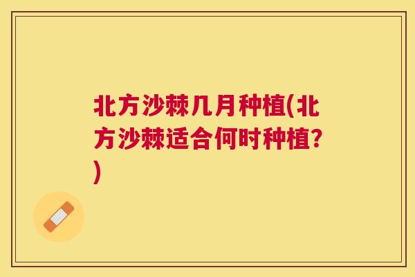 北方沙棘几月种植(北方沙棘适合何时种植?)