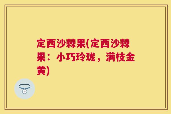 定西沙棘果(定西沙棘果:小巧玲珑,满枝金黄)