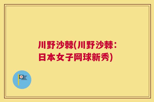 川野沙棘(川野沙棘:日本女子网球新秀)
