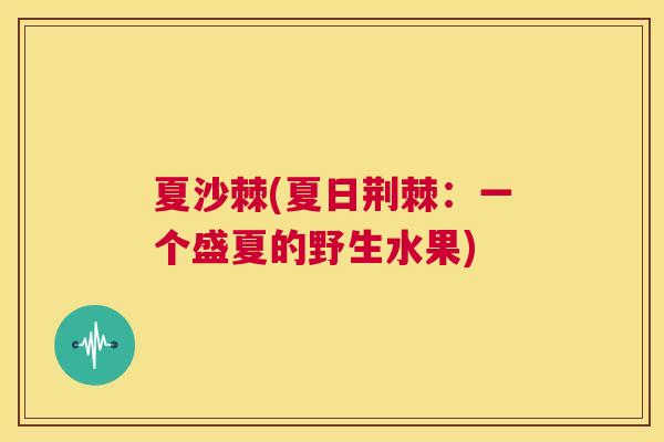 夏沙棘(夏日荆棘:一个盛夏的野生水果) 夏沙棘(夏日荆棘:一个盛夏的野生水果)