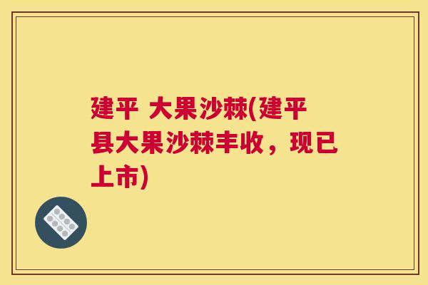 建平 大果沙棘(建平县大果沙棘丰收,现已上市)