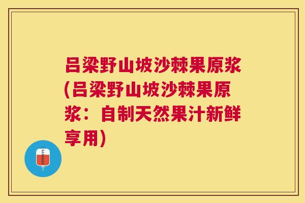 吕梁野山坡沙棘果原浆(吕梁野山坡沙棘果原浆：自制天然果汁新鲜享用)