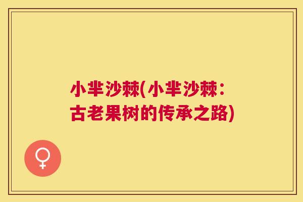 小芈沙棘(小芈沙棘：古老果树的传承之路)