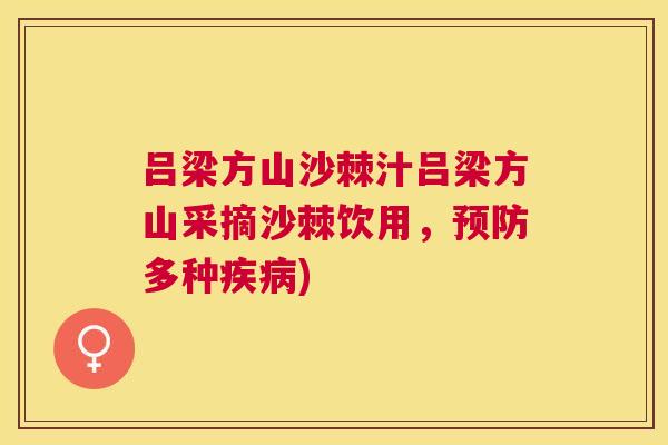 吕梁方山沙棘汁吕梁方山采摘沙棘饮用，预防多种疾病)