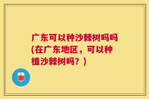 广东可以种沙棘树吗吗(在广东地区，可以种植沙棘树吗？)