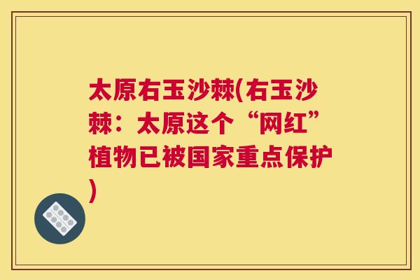太原右玉沙棘(右玉沙棘：太原这个“网红”植物已被国家重点保护)