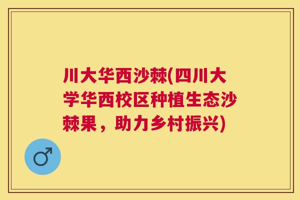川大华西沙棘(四川大学华西校区种植生态沙棘果,助力乡村振兴) 川大华西沙棘(四川大学华西校区种植生态沙棘果,助力乡村振兴)