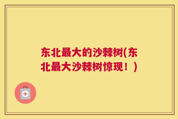 东北最大的沙棘树(东北最大沙棘树惊现！)