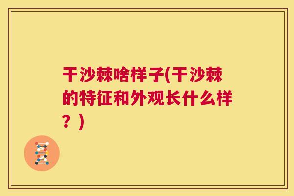 干沙棘啥样子(干沙棘的特征和外观长什么样?)