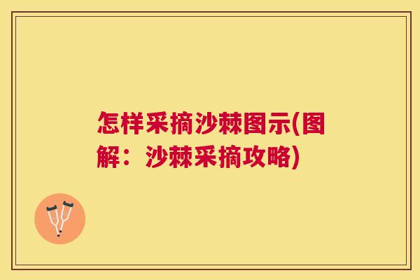 怎样采摘沙棘图示(图解:沙棘采摘攻略) 怎样采摘沙棘图示(图解:沙棘采摘攻略)