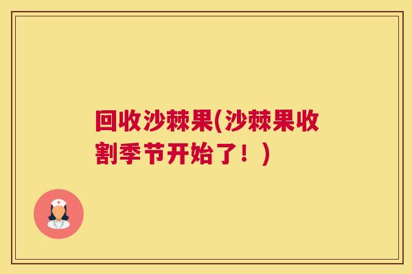 回收沙棘果(沙棘果收割季节开始了！)