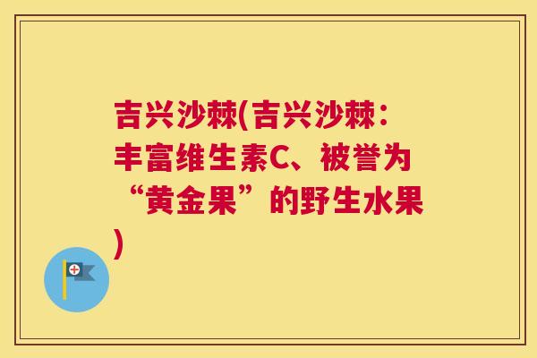吉兴沙棘(吉兴沙棘:丰富维生素C、被誉为“黄金果”的野生水果)
